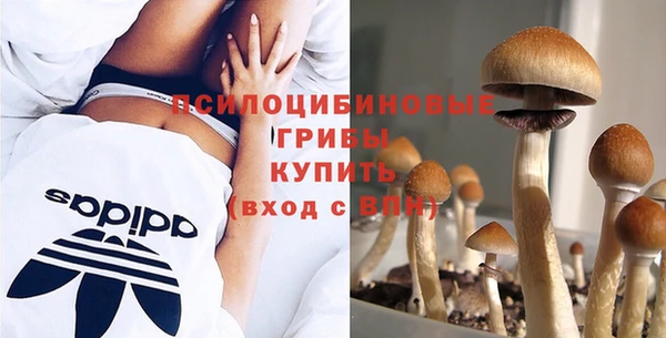 MESCALINE Нязепетровск