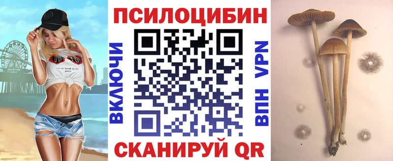 Псилоцибиновые грибы ЛСД  Темников 